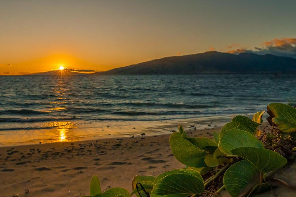 키헤이 Maui Sunset B-115 아파트 외부 사진